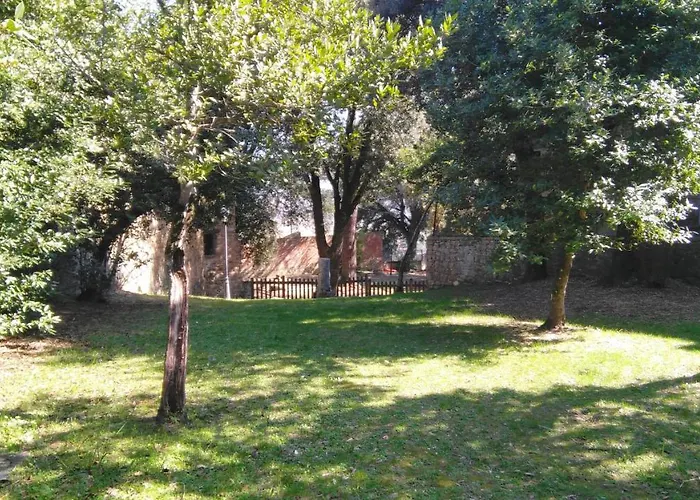 Borgo Di Oliveto - Con Cucina Civitella in Val di Chiana